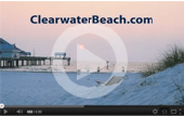 clearwaterbeach.com video